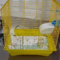 قفس زرد تمیز بدون ایراد فقط ۲۸۵هزار