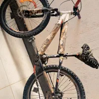 دوچرخه ۲۴ تنه بلد فروشی