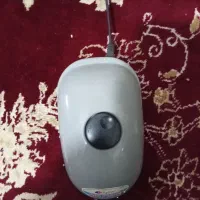 پمپ اکسیژن اکواریوم|ماهی|قرق, |دیوار