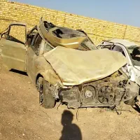 سمند تصادفی