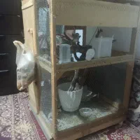 قفس بزرگ چوبی