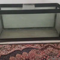 فروش دوتااکواریوم|ماهی|مشهد, امیریه|دیوار