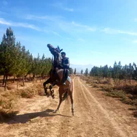 فروش ۲۵۵۰ متری در شهرضا|فروش دفتر صنعتی، کشاورزی، تجاری|شهرضا, |دیوار