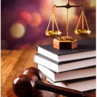 وکیل پایه یک دادگستری و استاد دانشگاه