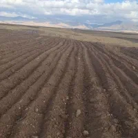 اجاره زمین کشاورزی|اجارهٔ دفتر صنعتی، کشاورزی، تجاری|قره پشتلو, |دیوار