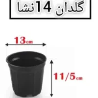 گلدان سیاه