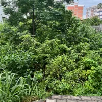 زمین-800-متری-در-سیسنگان
