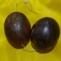 دو جفت مهره برد اصلی قدیمی