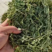 یونجه خرگوش 5 کیلویی