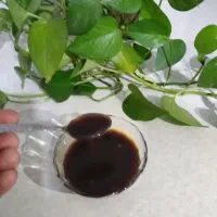 فروش شیره انگور.رب انار خانگی|خوردنی و آشامیدنی|شیراز, دروازه اصفهان|دیوار