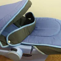 کریرمارک دلیجان|کالسکه و لوازم جانبی|بناب, |دیوار