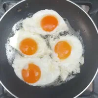 تخم مرغ محلی خاص و کاملا طبیعی|خوردنی و آشامیدنی|مشهد, سپاد|دیوار