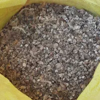 زل.کود.بلدرچین.کبوتر