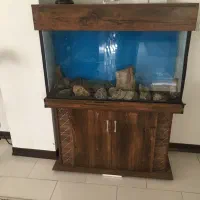 اکواریوم بزرگ