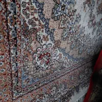 قالیشویی برادران ریگی|خدمات نظافت|خان ببین, |دیوار