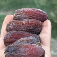 بهترین رطب و خرمای خشت|خوردنی و آشامیدنی|شیراز, فرهنگ شهر|دیوار
