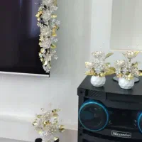 ریسه ی تیوی