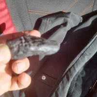 سنگ کمیاب|کلکسیون اشیاء عتیقه|شهرکرد, |دیوار