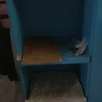 کمد بچهگانه|جاکفشی، کمد، دراور|کرمانشاه, |دیوار