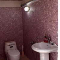 گلخانه فعال جهت فروش|فروش دفتر صنعتی، کشاورزی، تجاری|ششتمد, |دیوار