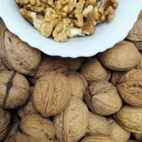 گردو درجه یک