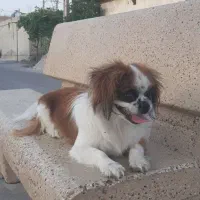فروشی لطفا خریدار پیام بده