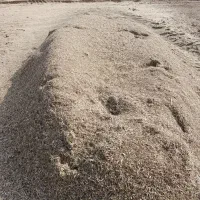 کاه ماش