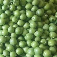 گوجه سبز|خوردنی و آشامیدنی|اهر, |دیوار