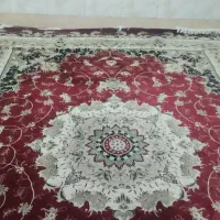 فرش 12 متری|فرش|قم, شهر قائم|دیوار