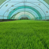 فروش سازه گلخانه