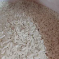 عرضه مستقیم برنج شمال|خوردنی و آشامیدنی|مراغه, |دیوار