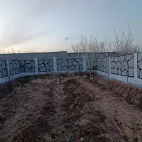 باغچه-بر-آسفالت-چهار-دیواری-سند-تک-برگ