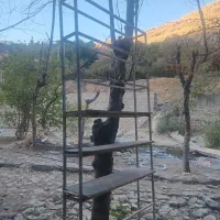 طبقه قفسه اهنی