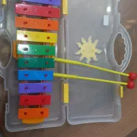 بلز رها|سازهای سنتی|همدان, |دیوار