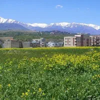 استخدام راننده و تراکت پخش کن پاره وقت