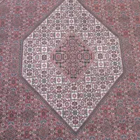 فرش شش متری|فرش|زنجان, |دیوار