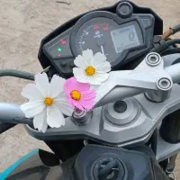 موتور cf150