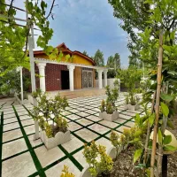 فلت-300متری-سرسبز-سنددار-با-درختان-مرکباتی