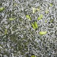 آشپزی مراسمات|خدمات پذیرایی، مراسم|خرم‌آباد, |دیوار