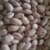 خ رید و فروش انواع مواد غذایی