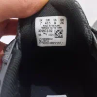 puma کفش پوما اصل (اورجینال)|کیف، کفش، کمربند|اصفهان, تیران|دیوار
