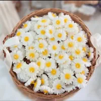 شمع گل بابونه مارگاریت گیفت عروس