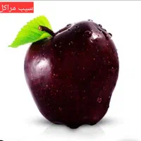 فروش نهال مثمر و غیرمثمر در نهالستان رویان نهال