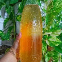 نوشیدنی و قارچ کامبوجا لاغری و چربی سوز|آرایشی، بهداشتی، درمانی|مشهد, فاطمیه|دیوار