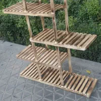 استند  گل|گل و گیاه طبیعی|اصفهان, آفاران|دیوار