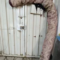 فرش ۱۲ متری زمینه