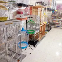 قفس عروس هلندی طوطی برزیلی مرغ عشق کاسکو قناری فنچ