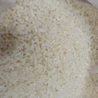 برنج اصیل دم سیاه کلات نادر کاملا ارگانیک|خوردنی و آشامیدنی|مشهد, حسابی جنوبی (شهرک غرب)|دیوار