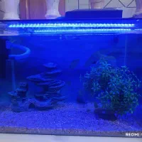 یک آکواریوم نو و سالم به همراه پمپ و تصفیه