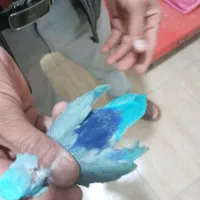 طوطی|پرنده|بم, |دیوار